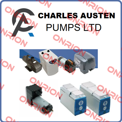 Charles Austen Pumps