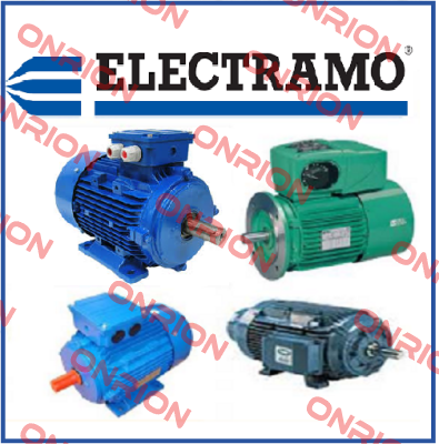 2HP/2815 D/D  Electramo