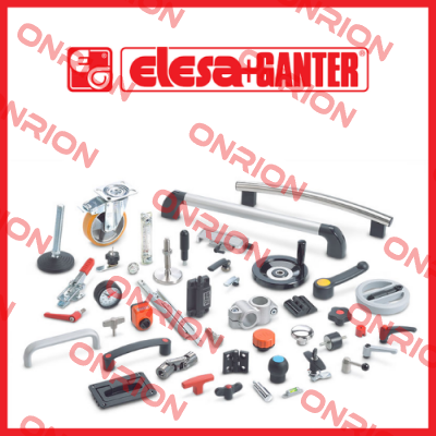 302231  Elesa Ganter