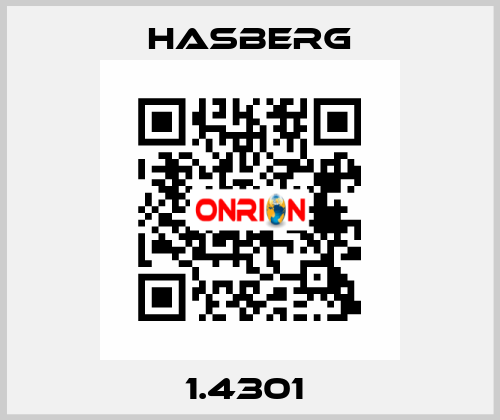 1.4301  Hasberg