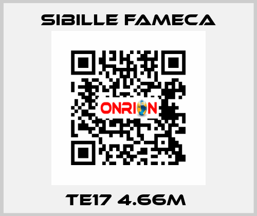 TE17 4.66M  Sibille Fameca