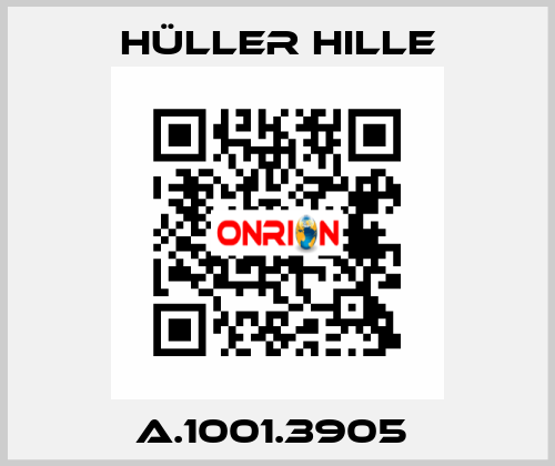 A.1001.3905  Hüller Hille