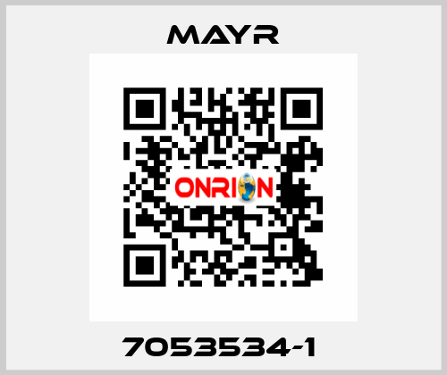 7053534-1  Mayr