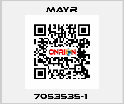 7053535-1  Mayr