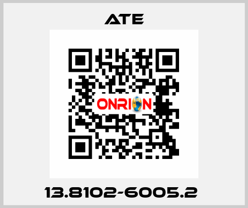 13.8102-6005.2  Ate