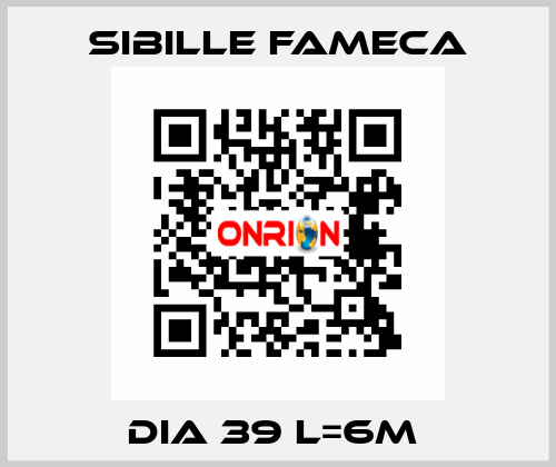 DIA 39 L=6M  Sibille Fameca