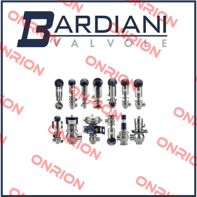 DN 25 ZVF BUTTERFLY VALVE MAINTENANCE KIT  Bardiani Valvole