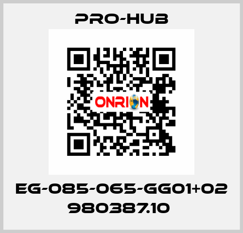 EG-085-065-GG01+02 980387.10  Pro-Hub