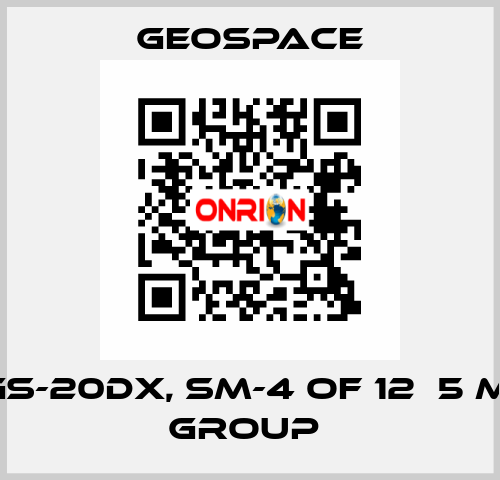 GS-20DX, SM-4 OF 12Х5 M, GROUP  GeoSpace