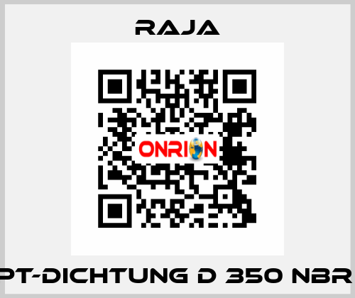 PT-Dichtung D 350 NBR  Raja