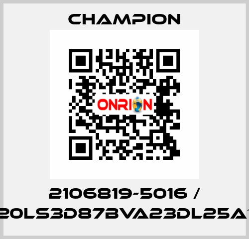 2106819-5016 / G20LS3D87BVA23DL25A10 Champion