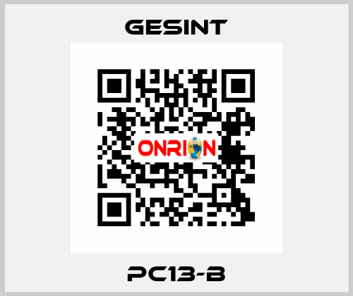 PC13-B Gesint