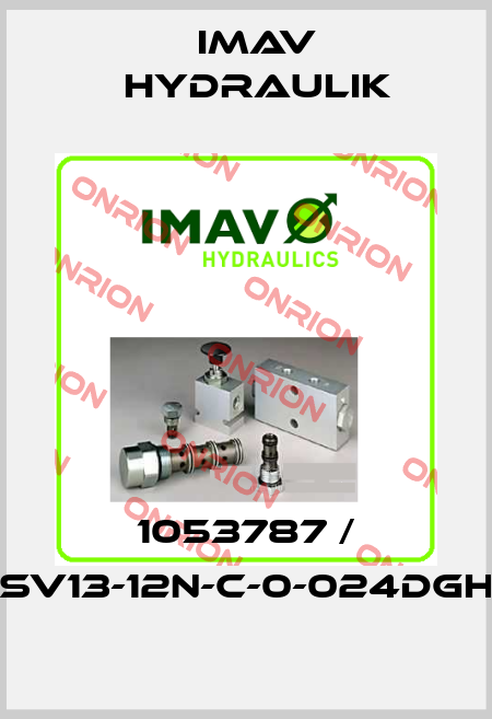 1053787 / SV13-12N-C-0-024DGH IMAV Hydraulik