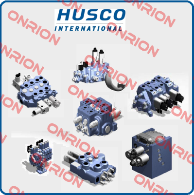 seal kit for  H95G259 Husco