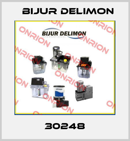 30248 Bijur Delimon