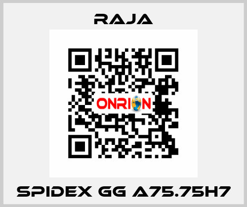 SPIDEX GG A75.75H7 Raja