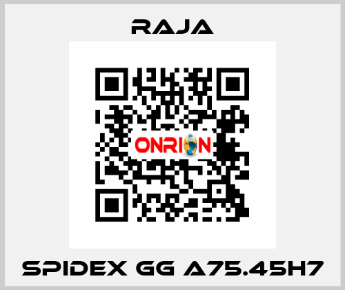 SPIDEX GG A75.45H7 Raja