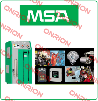 10050713 Msa