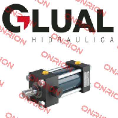 KI-40/28X500-B203-2-AD-A-1-M-30 Glual Hydraulics