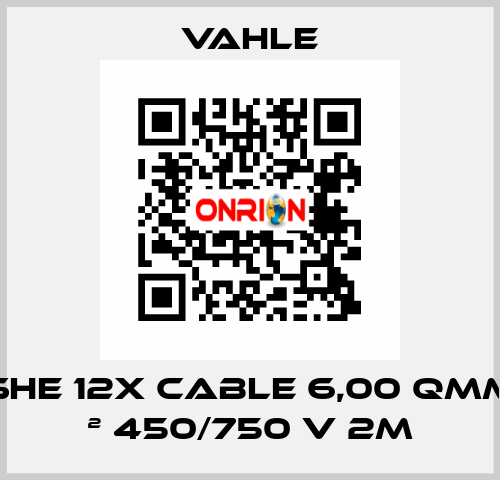 SHE 12x Cable 6,00 Qmm ² 450/750 V 2m Vahle