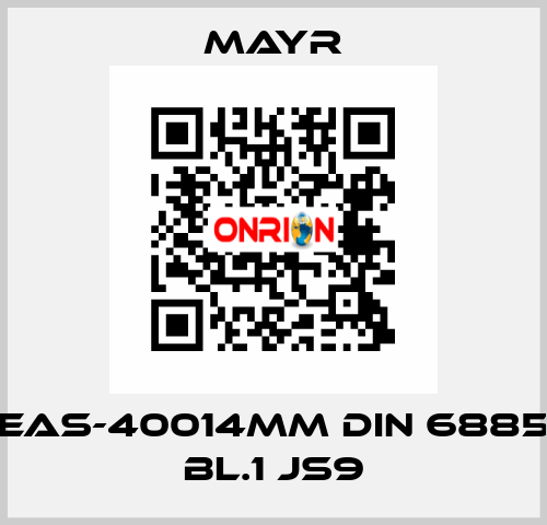 EAS-40014MM DIN 6885 BL.1 JS9 Mayr