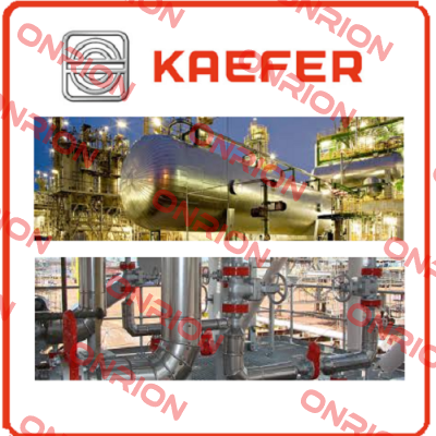 100012372 Kaefer