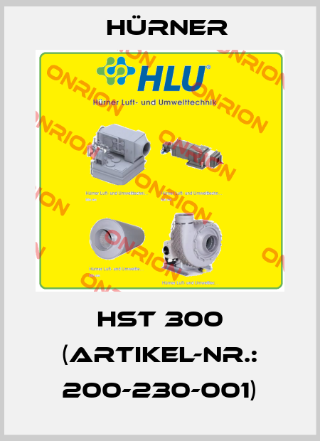 HST 300 (Artikel-Nr.: 200-230-001) HÜRNER