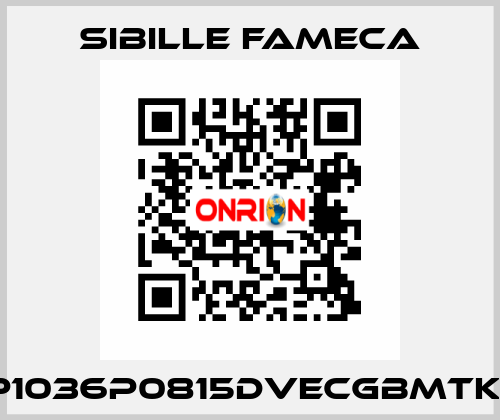 VDP1036P0815DVECGBMTKRI1T Sibille Fameca