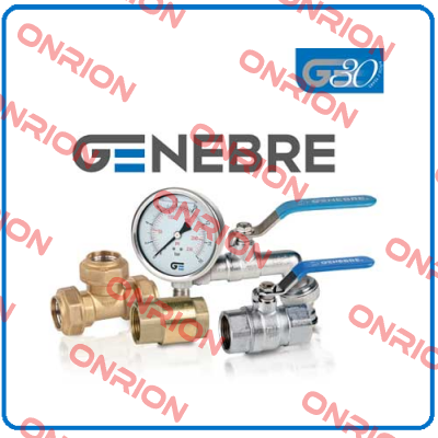 M-H A-316 F.341N 1 1/4" NPT Genebre