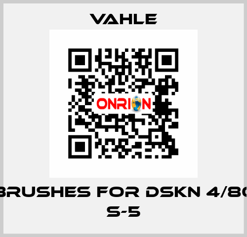 brushes for DSKN 4/80 S-5 Vahle