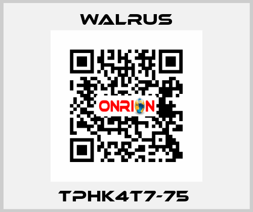 TPHK4T7-75  Walrus