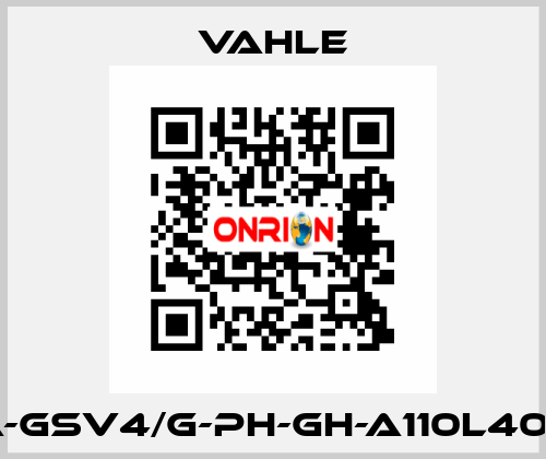 SA-GSV4/G-PH-GH-A110L40-16 Vahle