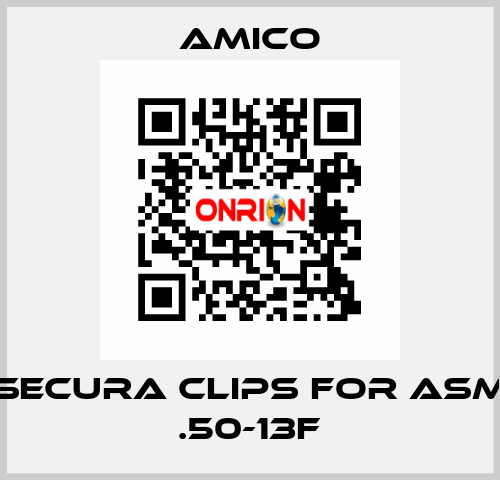 Secura Clips for ASM .50-13F AMICO