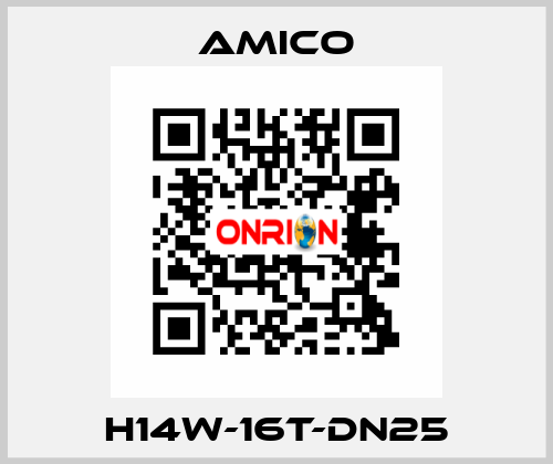 H14W-16T-DN25 AMICO