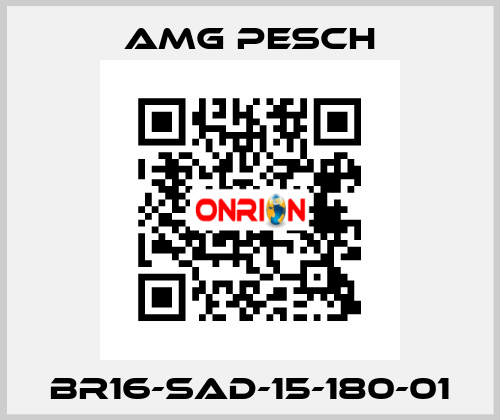 BR16-SAD-15-180-01 AMG Pesch