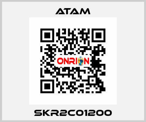 SKR2C01200 ATAM