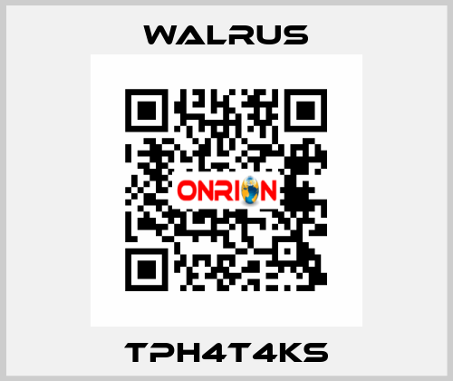 TPH4T4KS Walrus