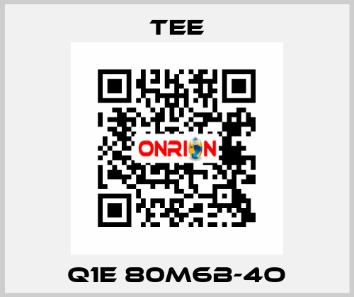 Q1E 80M6B-4O TEE