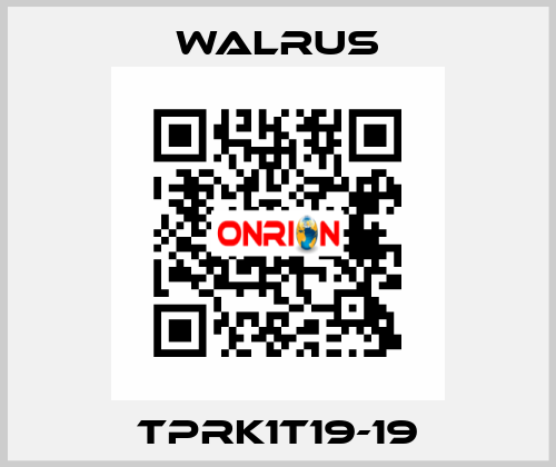 TPRK1T19-19 Walrus