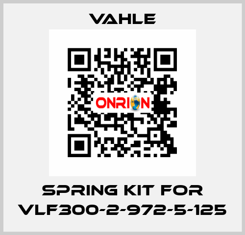 spring kit for VLF300-2-972-5-125 Vahle