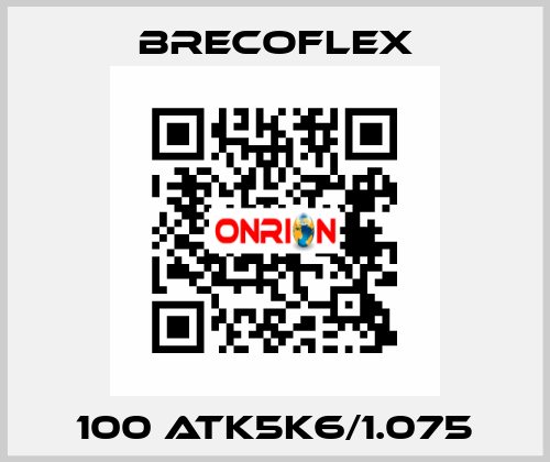 100 ATK5K6/1.075 Brecoflex