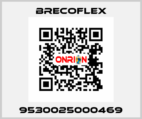 9530025000469 Brecoflex