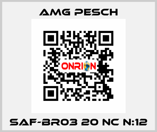 SAF-BR03 20 NC n:12 AMG Pesch