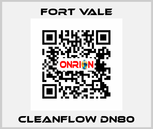 Cleanflow DN80 Fort Vale