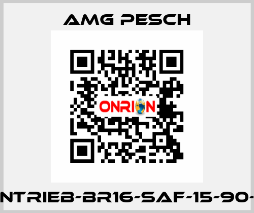 AMG-Antrieb-BR16-SAF-15-90-01-n=12 AMG Pesch