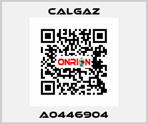 A0446904 Calgaz