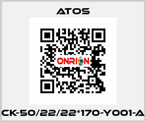 CK-50/22/22*170-Y001-A Atos