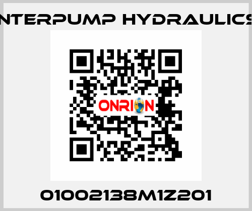 01002138M1Z201 Interpump hydraulics