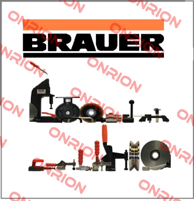 8616.106.00 Brauer