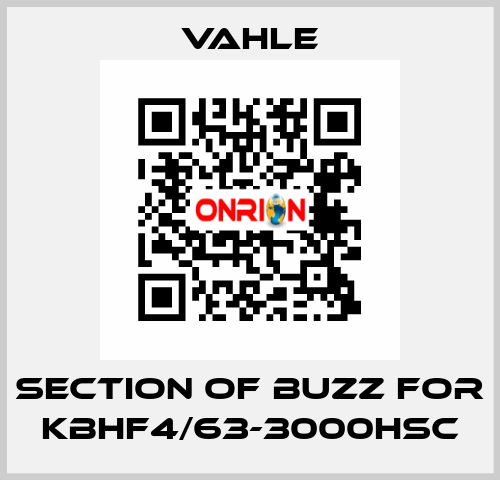 section of buzz for KBHF4/63-3000HSC Vahle